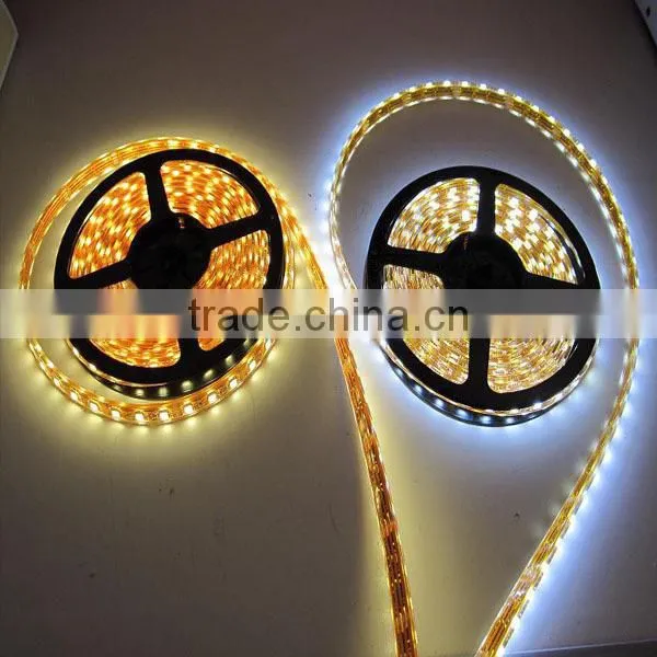 People Like and Hot Sale Christmas Light LED Rope Light LED Strip Light for Outdoor photo-2