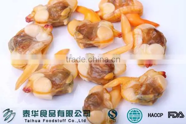 Seafood Importer Clam Meat Shellfish Seafood Frozen photo-3