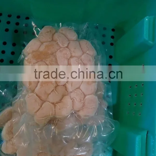 Frozen Vacuum Fan Shell Atrina Pectinata for Sale in Season photo-2