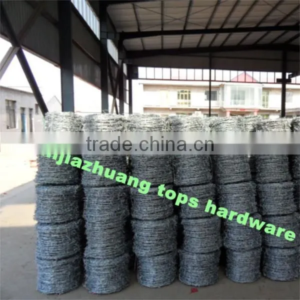 Barbed Wire Razor Wire Mesh Wall Spikes photo-2