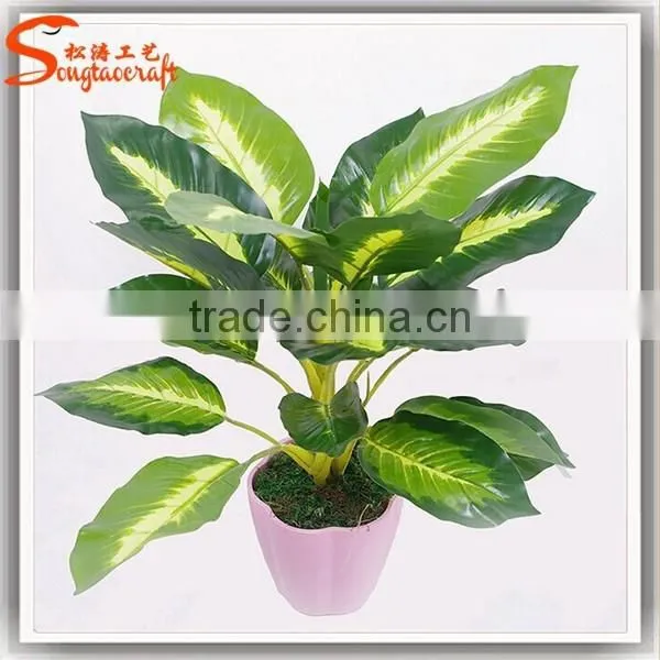 Indoor Decor Cheap Bonsai Plants for Sale Wholesale Artificial Bonsai Tree and Plant photo-6