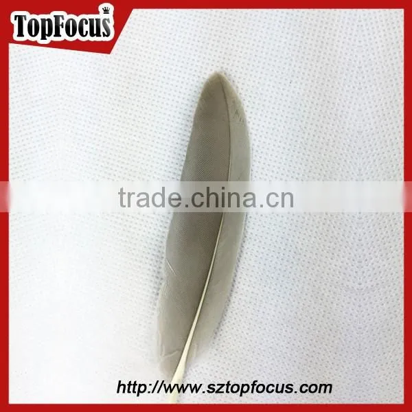 Cheap Colorf Cleaning Goose Artificial Feathers for DIY Sale Cheap photo-6