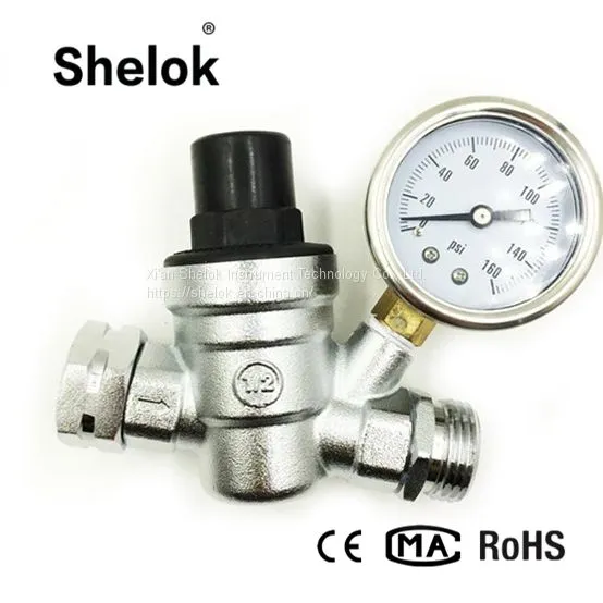 2018 Hot Sell Adjustable Brass Water Pressure Regulator With Gauges photo-5
