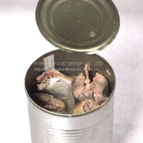Factory Price Premium Qaulity Chinese Canned Fish Mackerel in Vegetables Oil