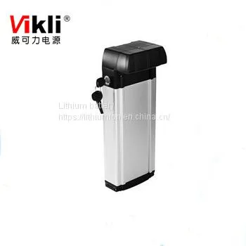 Customized LiFePO4 Battery 24V Lithium Ion 50Ah/100Ah/150Ah/200Ah Battery photo-4