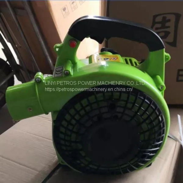 Wind Hand-held 2-stroke Engine Snow Leaf Blower EB260 photo-2