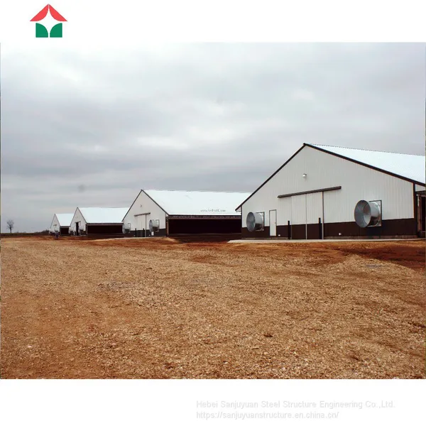 Full Automated Comlit Chicken House photo-3