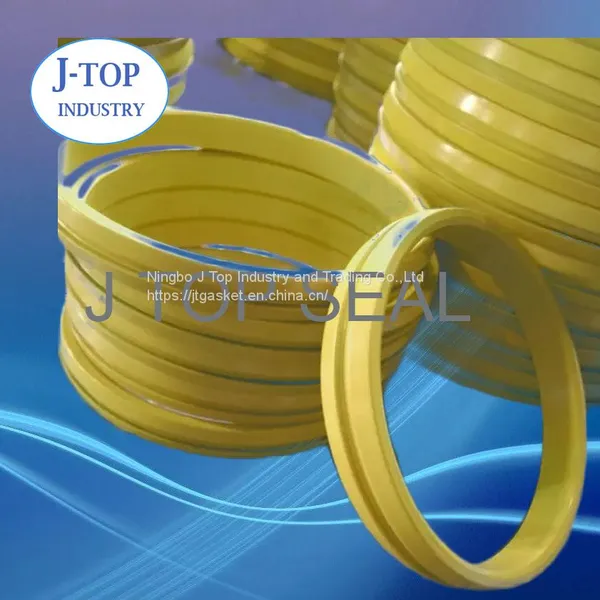 Lense RTJ Gasket Ring