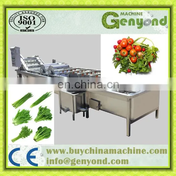 Frozen Vegetable Production Line/green Peas Quick Freezing Processing Equipment/vegetable Processing Machine photo-2