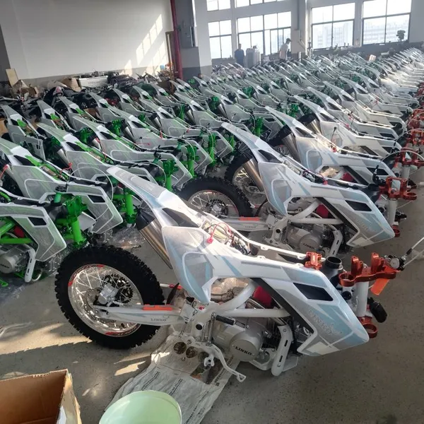 125CC off Road Motorycle Dirt Bike off Road Motor photo-2