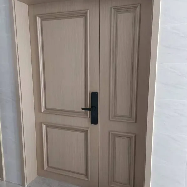 Entrance Door photo-2