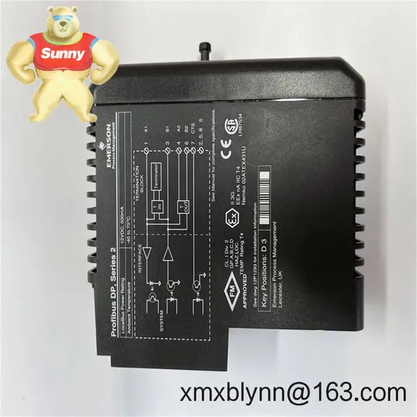 Emerson VE4022 – M‑series Profibus DP Series 2 Plus Interface Card for DeltaV Integration