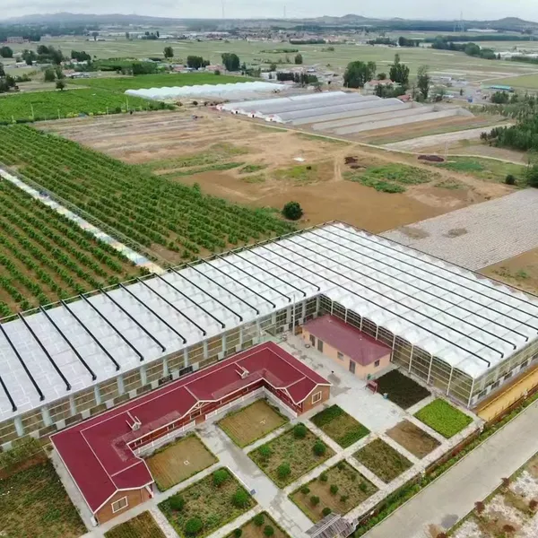 Diffused Glass Roof Panels for Optimal Light Distribution in Greenhouses photo-3