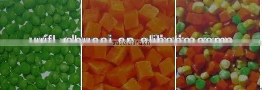 Vegetable And Fruit Mixer/ Vegetable Mixer photo-3