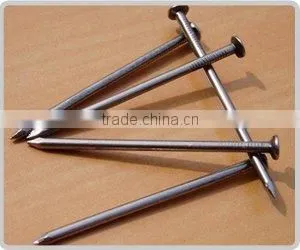Nails /common Nails /iron Common Nails /polish Nails