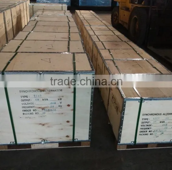 AC Single Phase Output Type 3kva ST STC BRUSH ALTERNATOR photo-3