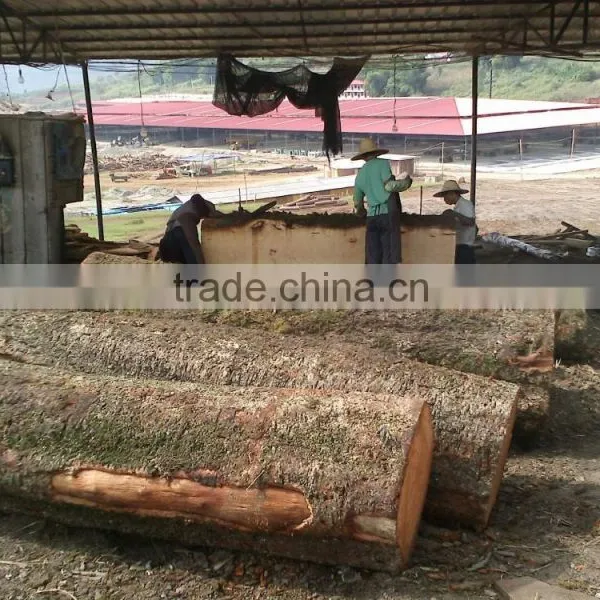Wood Drying Kiln, Wood Treatment Machine photo-5
