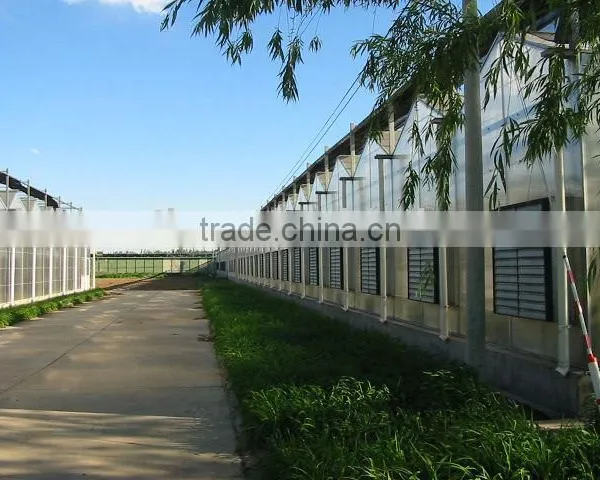 Polycarbonate Sheet Greenhouse photo-2