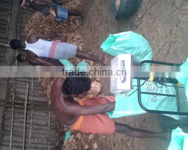 Fresh Coconuts Exporter photo-3
