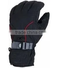 Ski Gloves