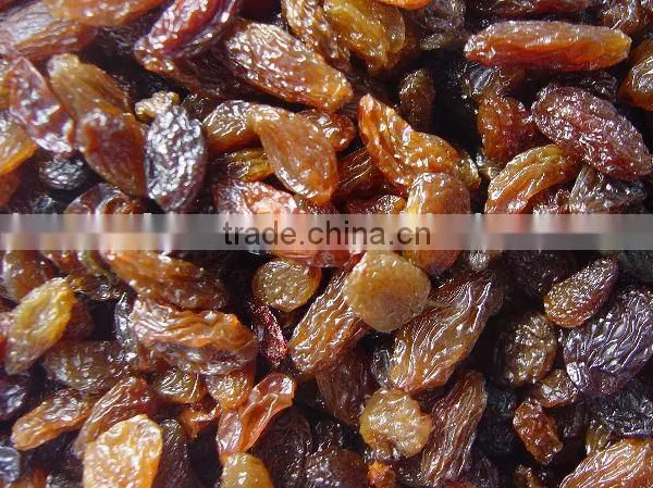 Red Raisins Brown Raisins Red Grape Sultana Raisins Seedless Raisins Dried Fruit Snack Fruit