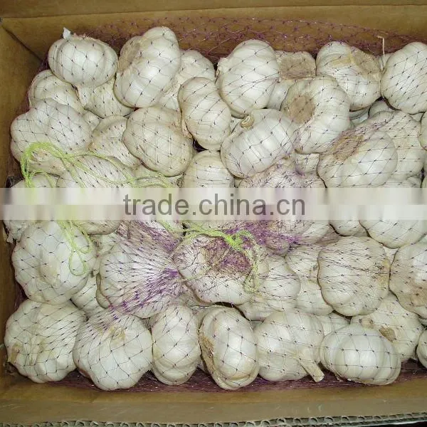 Black Garlic