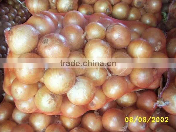 Gold Onion ( Crops 2013) photo-4
