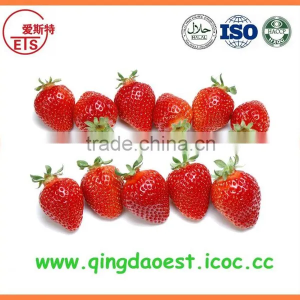 For Sale High Quality Whole Fresh Strawberry photo-5