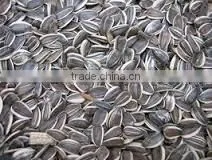 Chinese Good Quality Hulled Sunflower Seeds photo-2