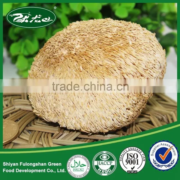 100% Nature Dried Hericium Erinaceus Mushroom