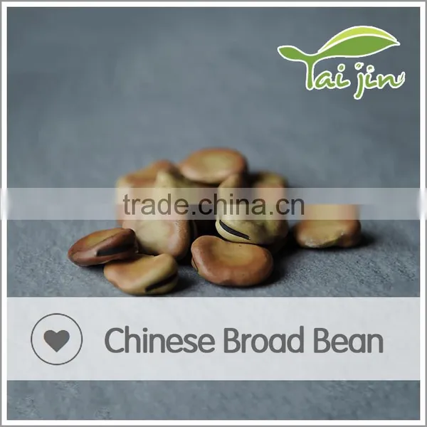 DRY BROAD BEAN photo-4