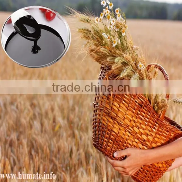 Chitosan Cas 9012-76-4 Chitin Chitosan