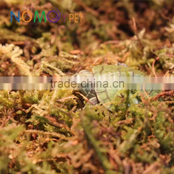Germ-free Reptile Supplies Moss Terrarium Substrate Pure Natural Reptile Pet Bedding