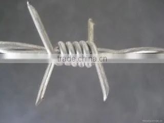 Double Strand Barbed Wire Galvanized