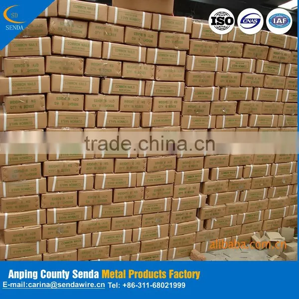 Best Sales Products in Large Concrete Steel Nail photo-3