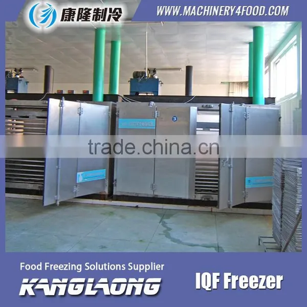 High Quality Mini IQF Freezer With Great Price photo-2