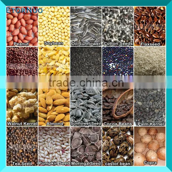 High Efficiency Small Cold Pressed Hydraulic Olive Oil Press Machine photo-4