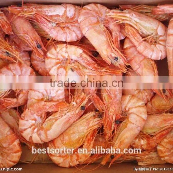 Sea Food Machinery Dried Shrimp Optical Sorter Machine Made in China photo-4