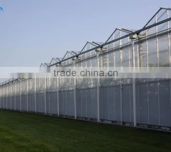 Chengdu BaoLiDa Low Price Polycarbonate Greenhouse pc Sheet Greenhouse photo-2