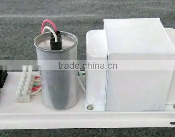 European Standard Hydroponic 600watt HPS MH Horticultural Lamp Used Open Model Grow Light Magnetic Ballast Without Outer Box photo-6