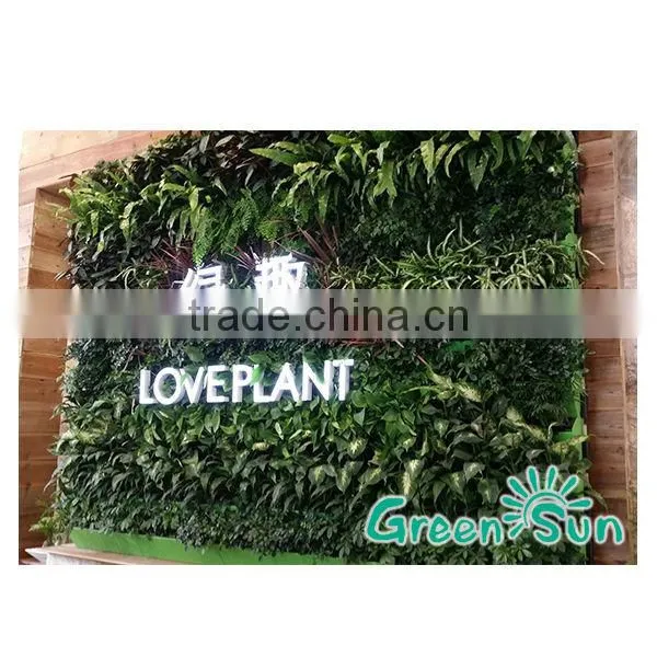 Vertical Garden Green Wall Module Artificial Hanging Wall Planter,GreenSun Vertical Wall Planter Pot,flower Pot,garden Flower po photo-4