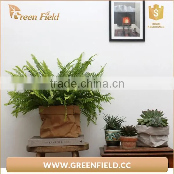 Washable Paper Pots,waterproof Kraft Paper Plant Bag photo-5