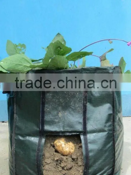 Potato Planting Bag photo-3