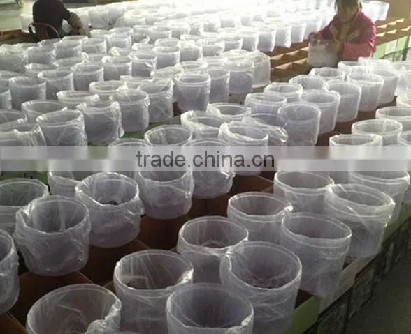 8L Mineral Water Filter Machine Price photo-5