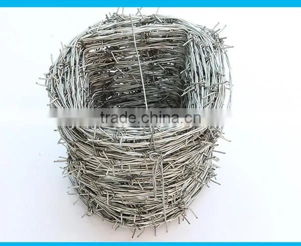 Cheap Price Electro/hot Dipped Galvanized Barbed Wire photo-5