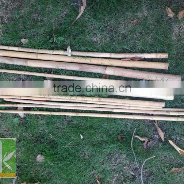 Decoration Short Tonkin Bamboo Cane/pole photo-5