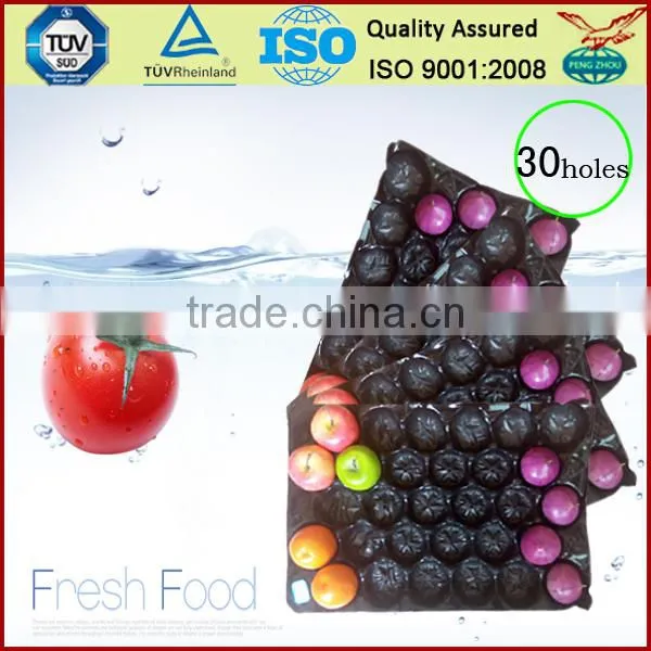 39*59 cm Plastic PP Apple Fruit Tray for Alveolar photo-6