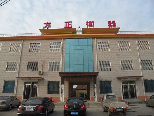 Cangzhou Fangzheng Electronic Weighing Apparatus Co.,ltd company overview - view 1
