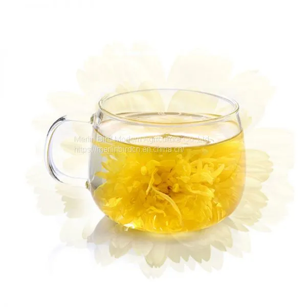 Dried Chrysanthemums Wholesale Scented Flavor Flower Herbal Tea