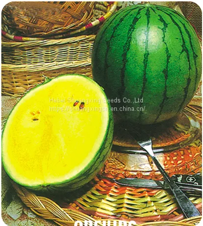 Small Phoenix f1 Hybrid Yellow Watermelon Seeds